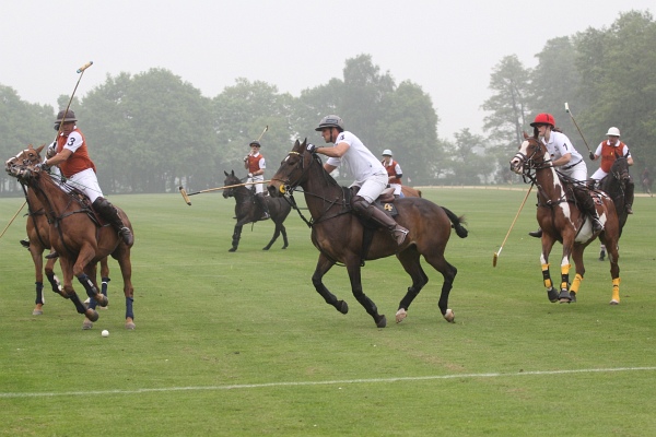 Polo_Art   080.jpg